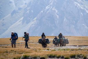 pamir-141-???.
