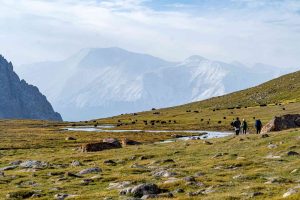 pamir-149-??????