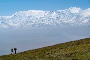 pamir-94-??????.