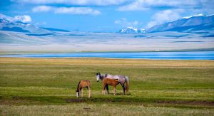 SON-KUL-LAKE-ed