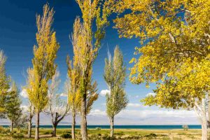 ISSYK-KUL-