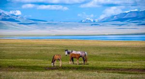 SON-KUL-LAKE-